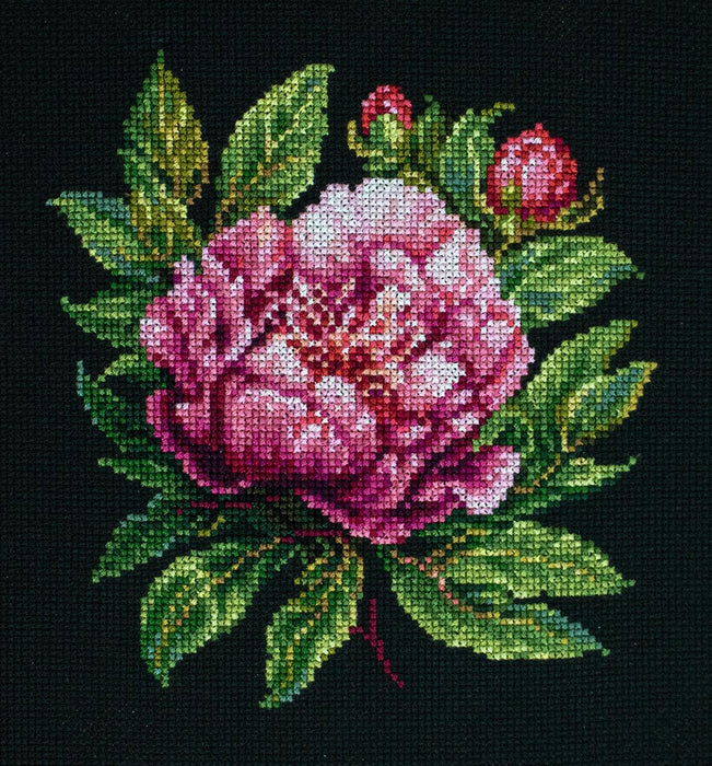 Cross Stitch Kit with Hoop Included Luca-S - BC204 ’’Peter Brand’’ Peony Cross Stitch Kits - HobbyJobby