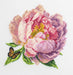 Cross Stitch Kit with Hoop Included Luca-S - BC206 ’’Rozella’’ Peony Cross Stitch Kits - HobbyJobby