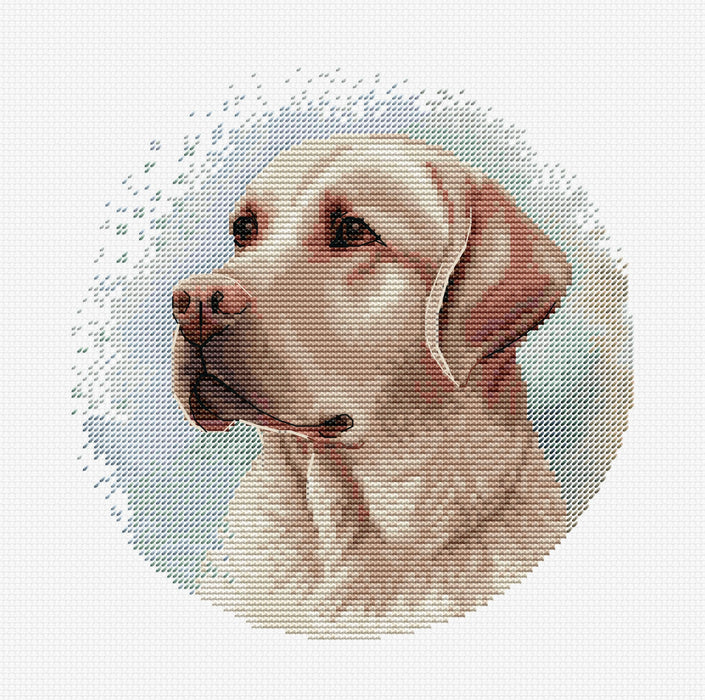 Cross Stitch Kit with Hoop Included Luca-S - BC211, The Labrador Cross Stitch Kits - HobbyJobby