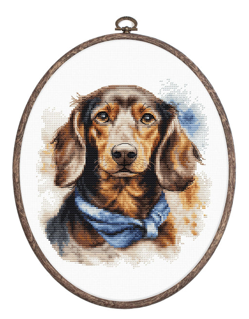 Cross Stitch Kit with Hoop Included Luca-S - The Dachshund, BC222 Cross Stitch Kits - HobbyJobby