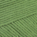 forest green 412 Scheepjes_Yarn - HobbyJobby