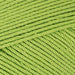 Greenery (00418) Schachenmayr_Yarn - HobbyJobby