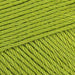 kiwi 205 Scheepjes_Yarn - HobbyJobby