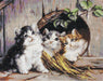 Petit Point Kit Luca-S - Kittens, G520 - Luca-S