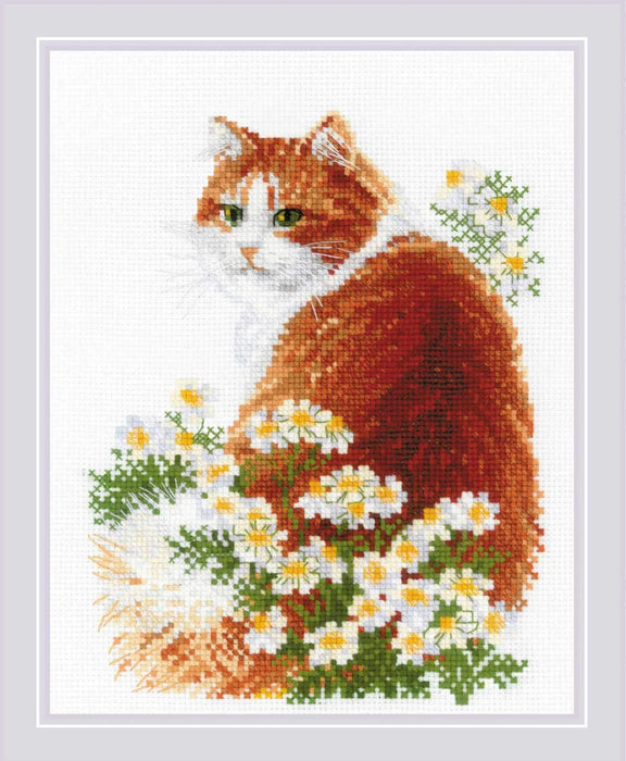 Riolis Cross Stitch Kit - Ginger Meow Cross Stitch Kits - HobbyJobby